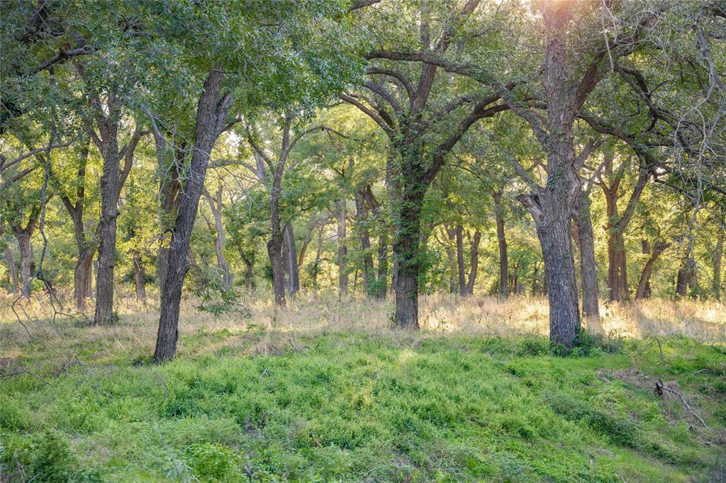 Charles B Howard A 443 - Residential