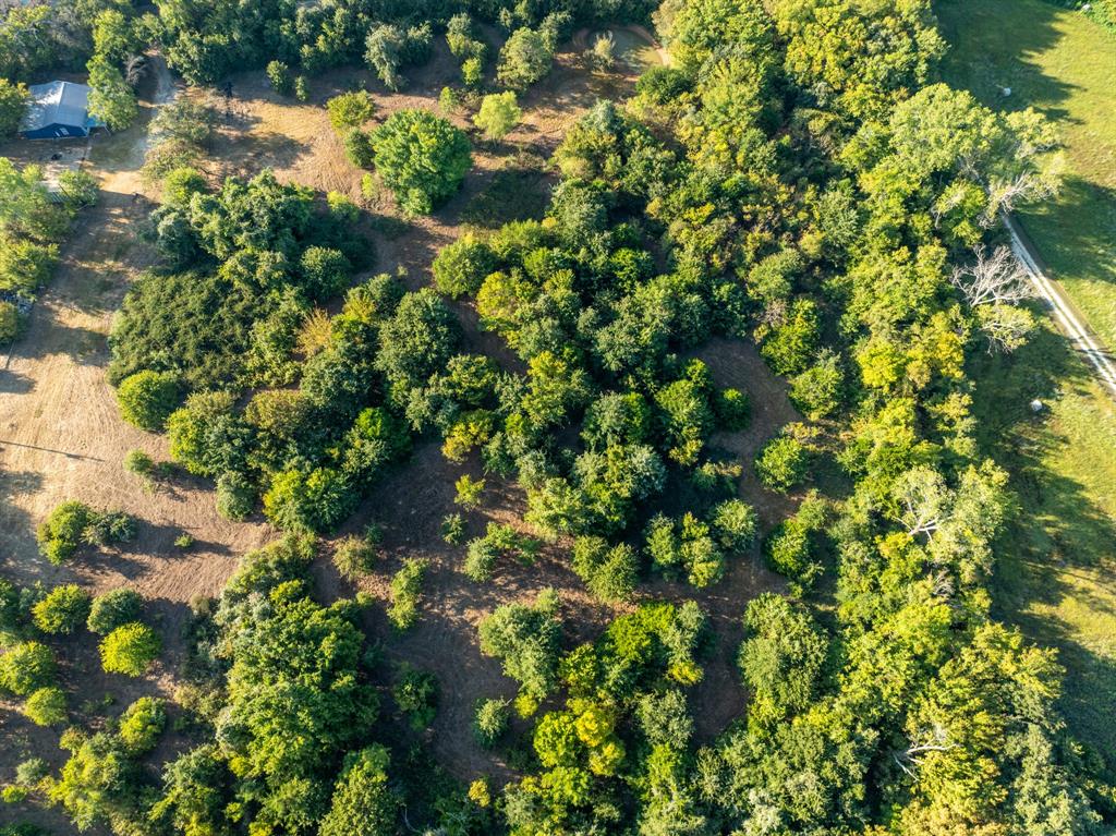 S Morris Abs 536 Tract 159 - Land