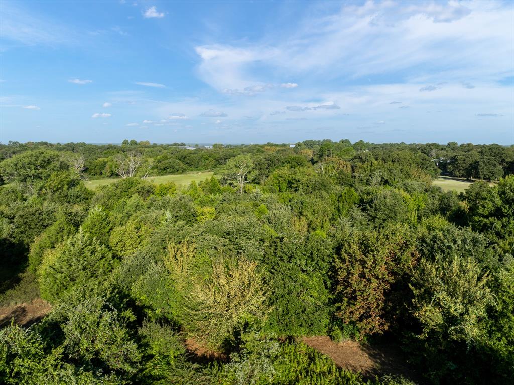 S Morris Abs 536 Tract 159 - Land