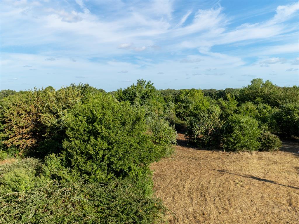 S Morris Abs 536 Tract 159 - Land