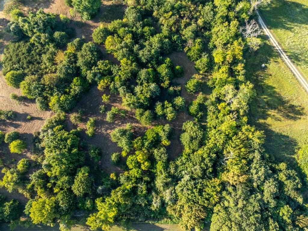 S Morris Abs 536 Tract 159 - Land