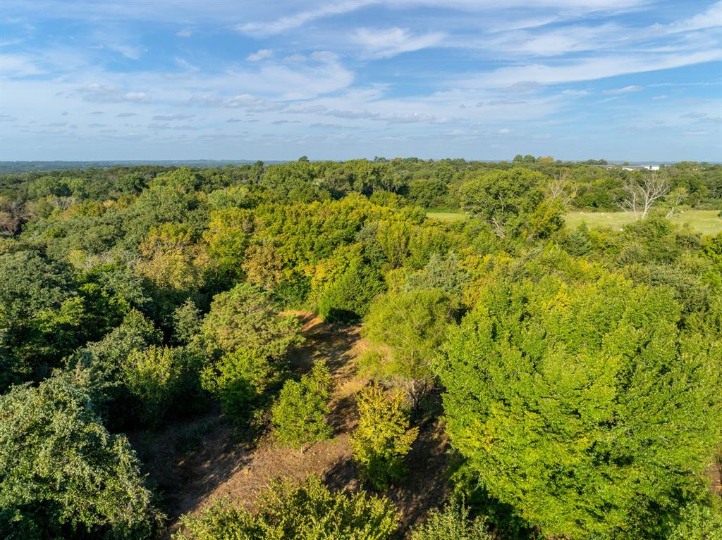 S Morris Abs 536 Tract 159 - Land