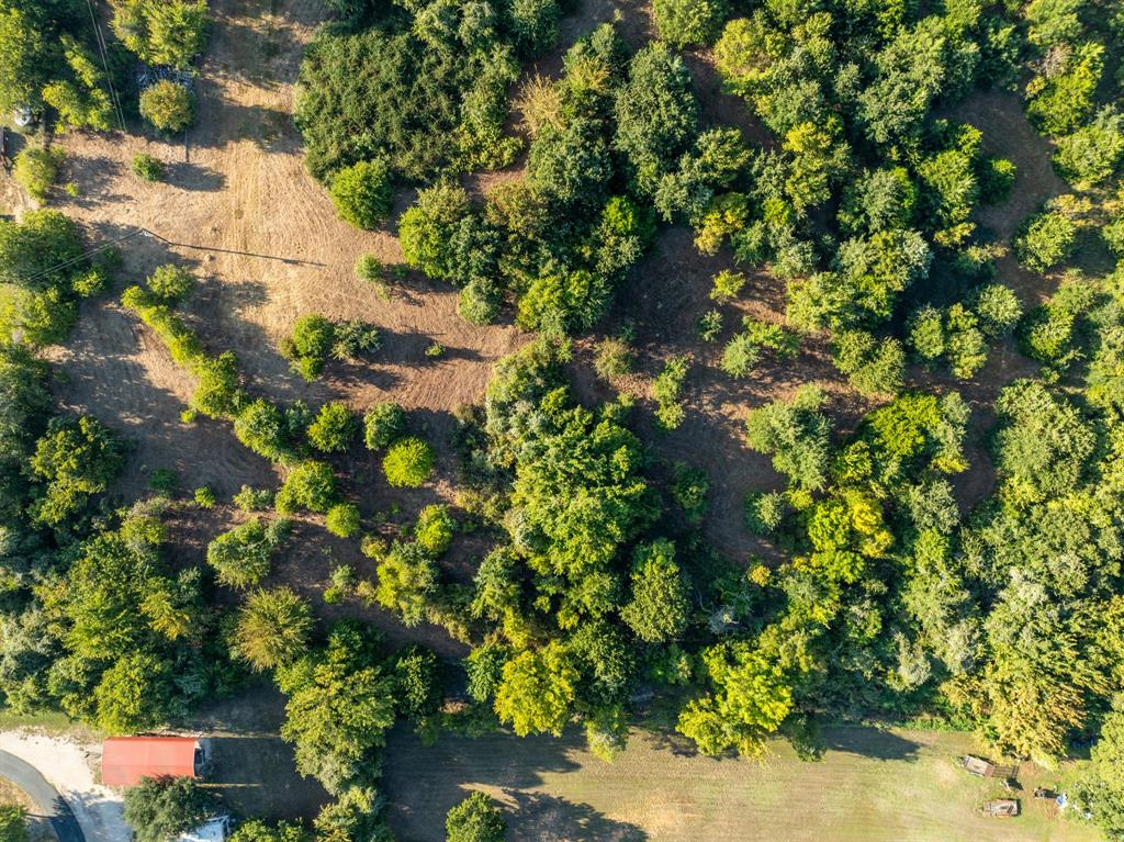 S Morris Abs 536 Tract 159 - Land