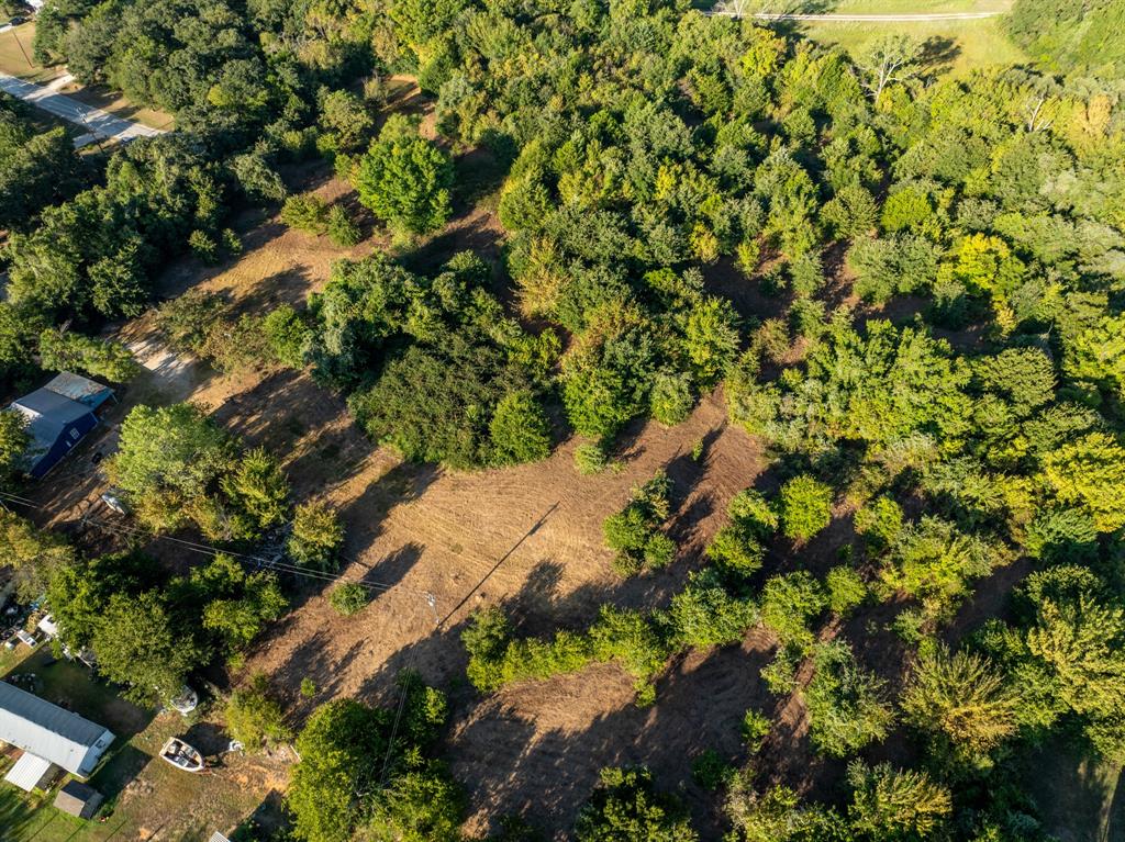 S Morris Abs 536 Tract 159 - Land