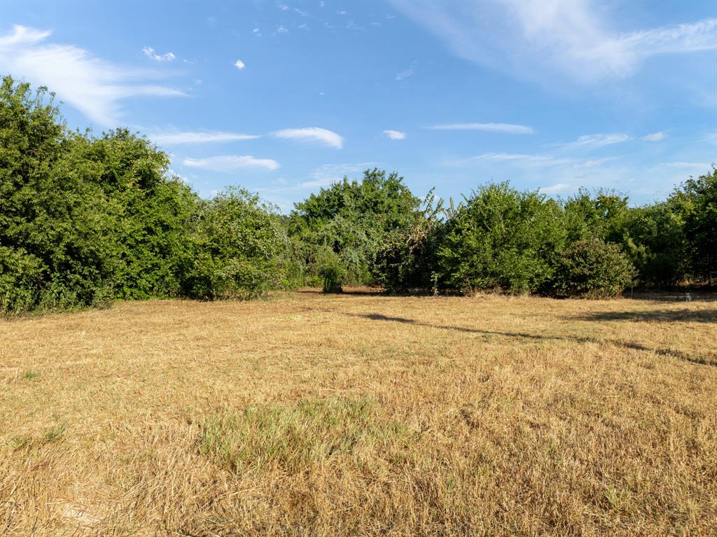 S Morris Abs 536 Tract 159 - Land