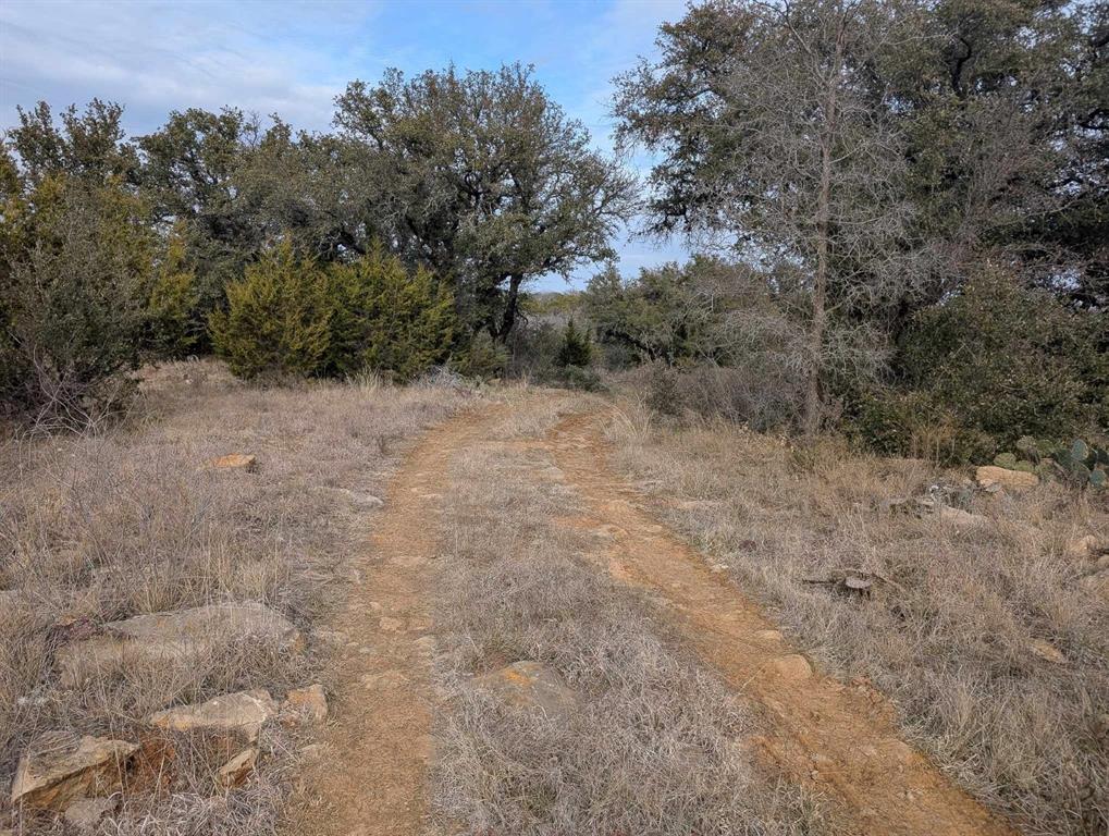 TBD Tx-67