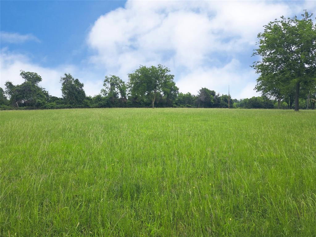 Francisco Bay I - Land