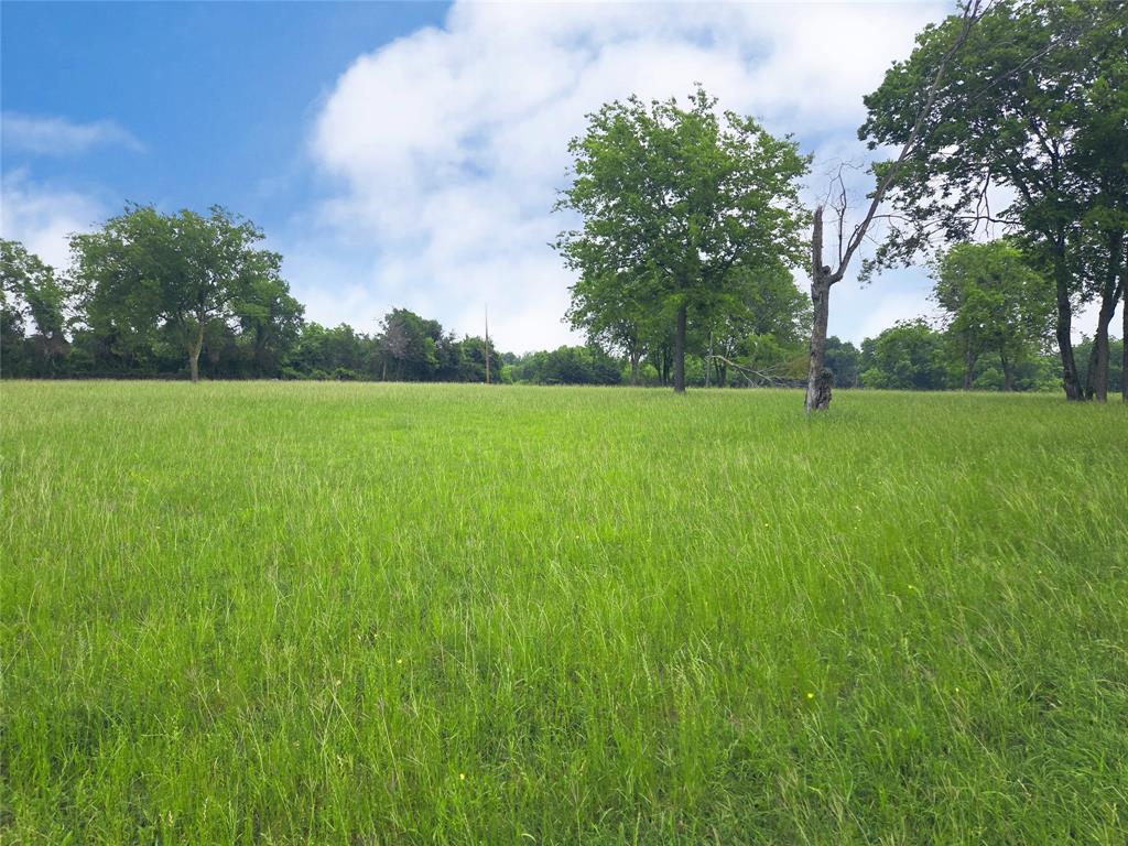 Francisco Bay I - Land