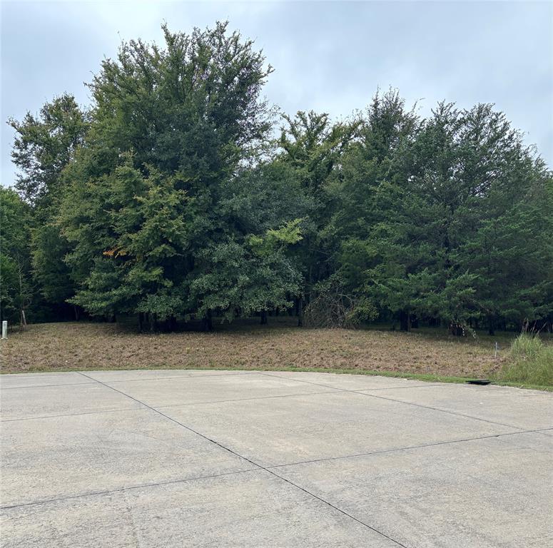 Shadow Lakes Ph 2 - Land