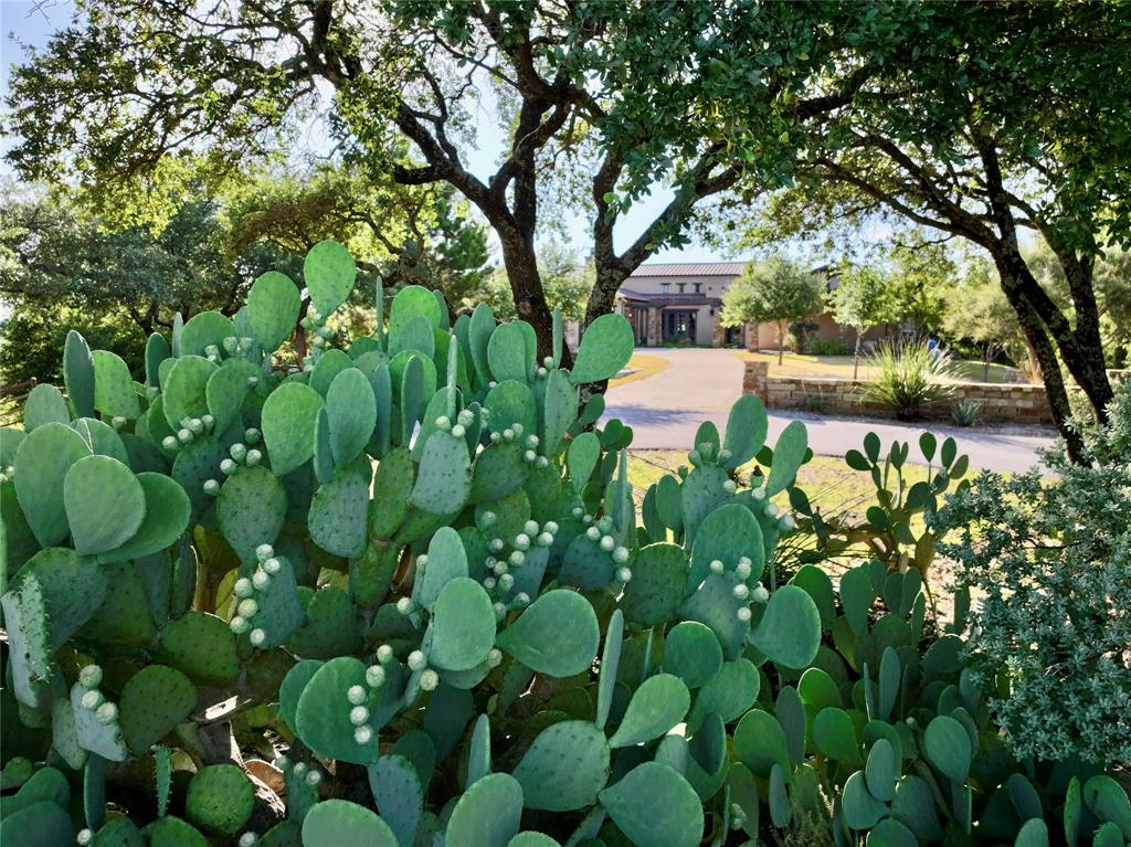 Silverado on the Brazos - Residential