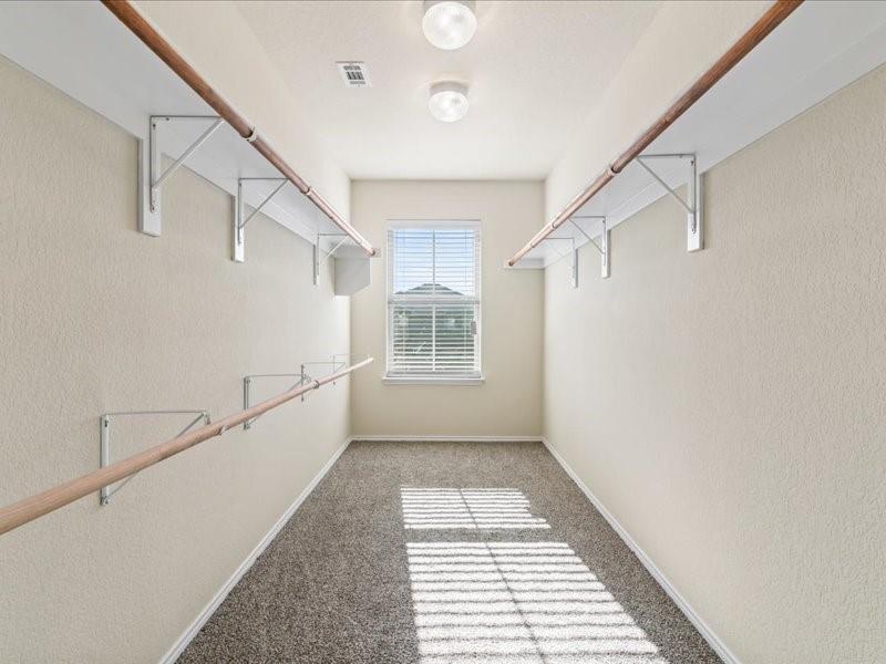 Palmilla Springs - Residential