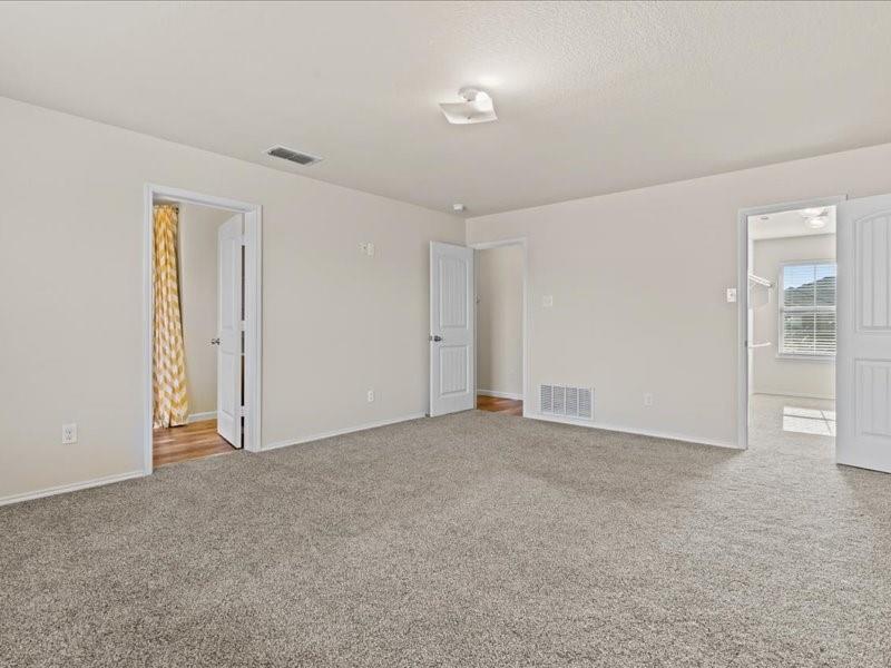 Palmilla Springs - Residential