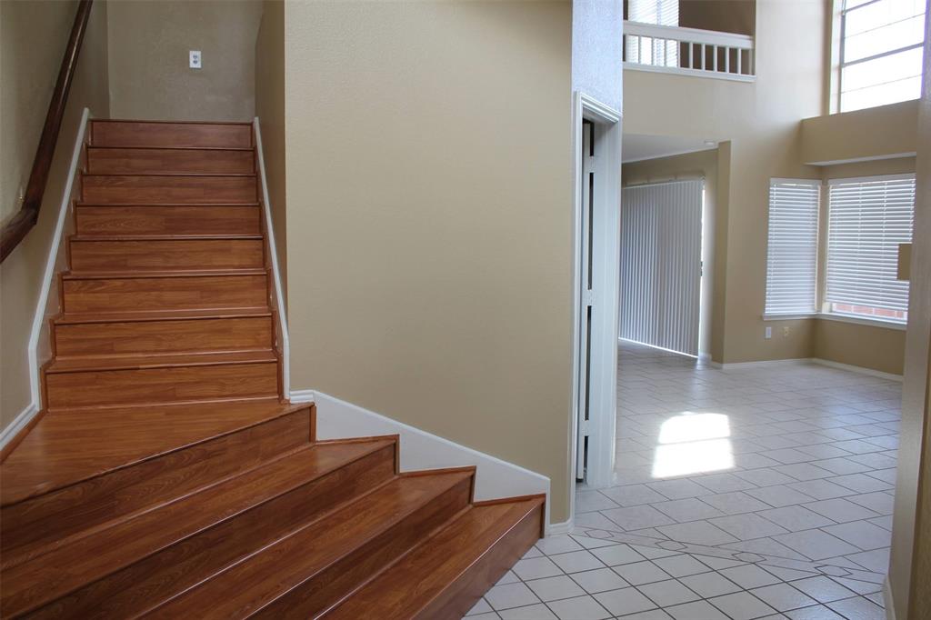 Mandolin Collection - Residential Lease