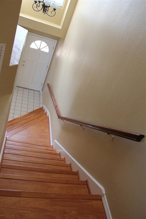 Mandolin Collection - Residential Lease