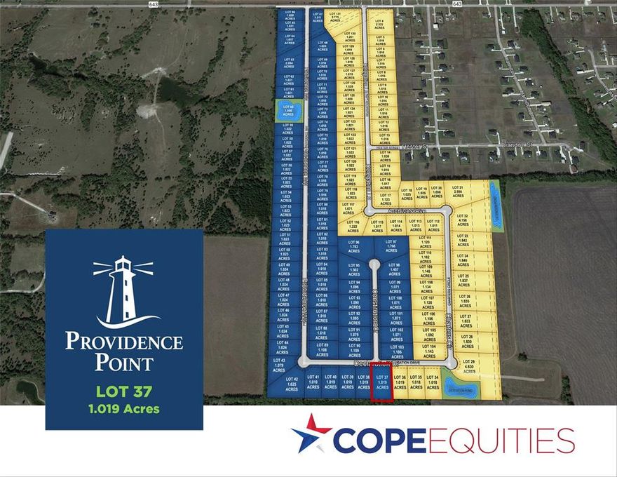 Finally! Luxury 1+ acre lots at affordable prices in the booming DFW area. Providence Point Community boasts concrete streets, fiber-optic high-speed internet, the ability to have a guest home, a shop, or an RV garage – all with NO PESKY HOA! Bring your own builder and pick any of the still available amazing 1+ acre Lots! Providence Point is a new community developed by Cope Equities and Cope Homes, where you can build your home alongside the beautiful Craftsman and Farmhouse style homes already existing in the community. Come and see! (Bulk discounts available for multiple-lot closings by builders).