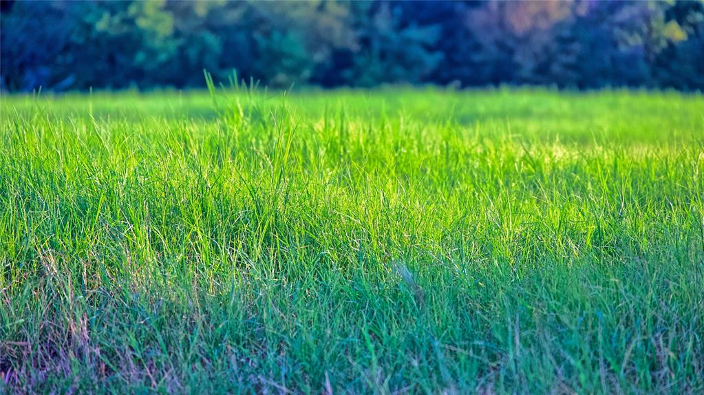 John H Beicher Sub - Land