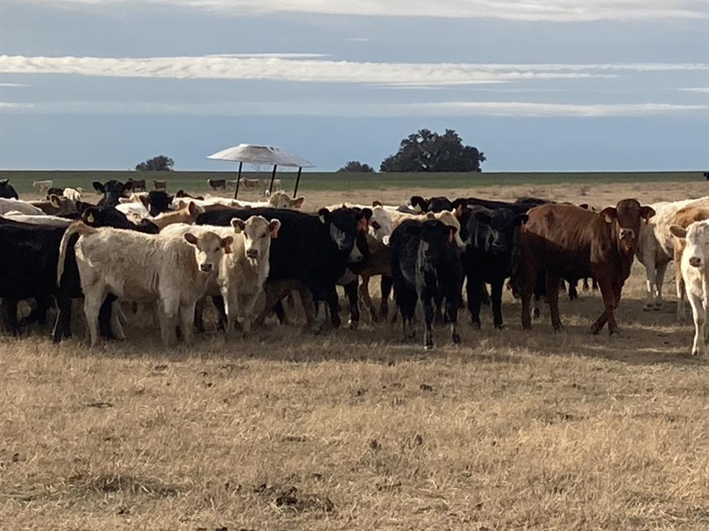 0000 Stephens Lane Lane