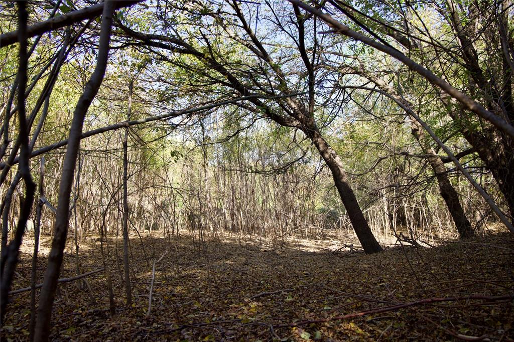 Charles Frazier Surv Abs 294 - Farm