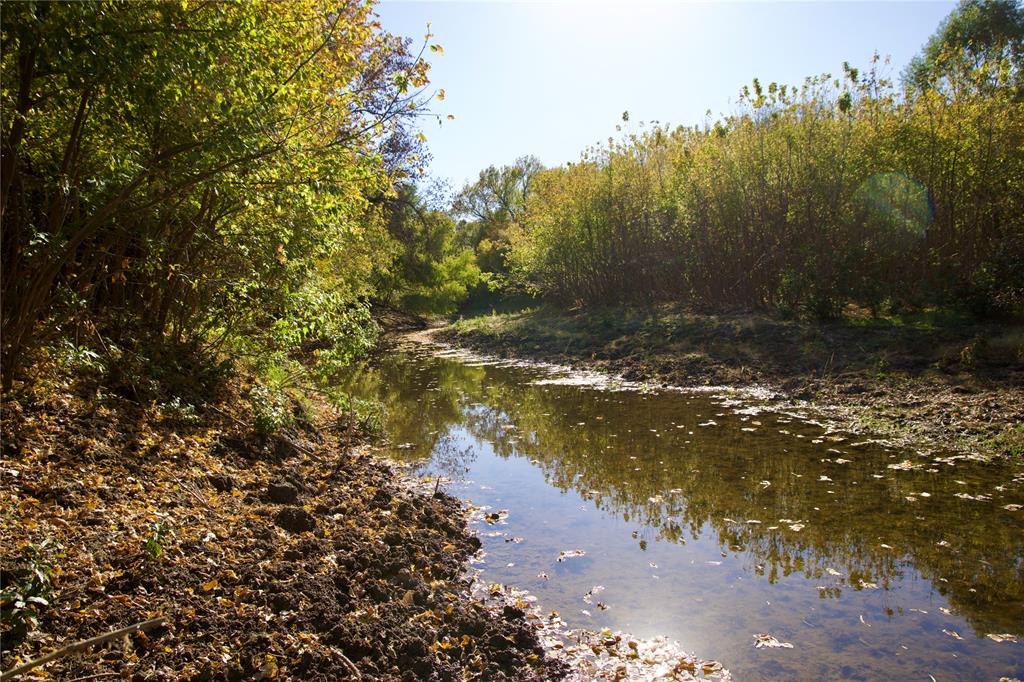 Charles Frazier Surv Abs 294 - Farm