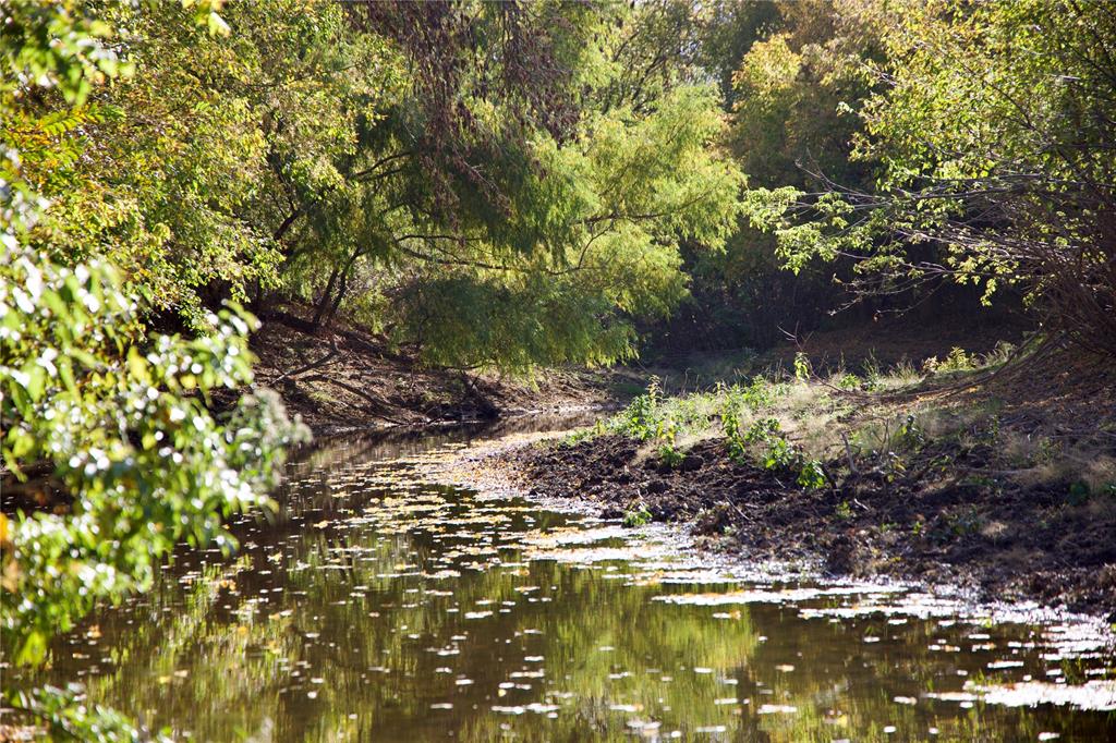 Charles Frazier Surv Abs 294 - Farm