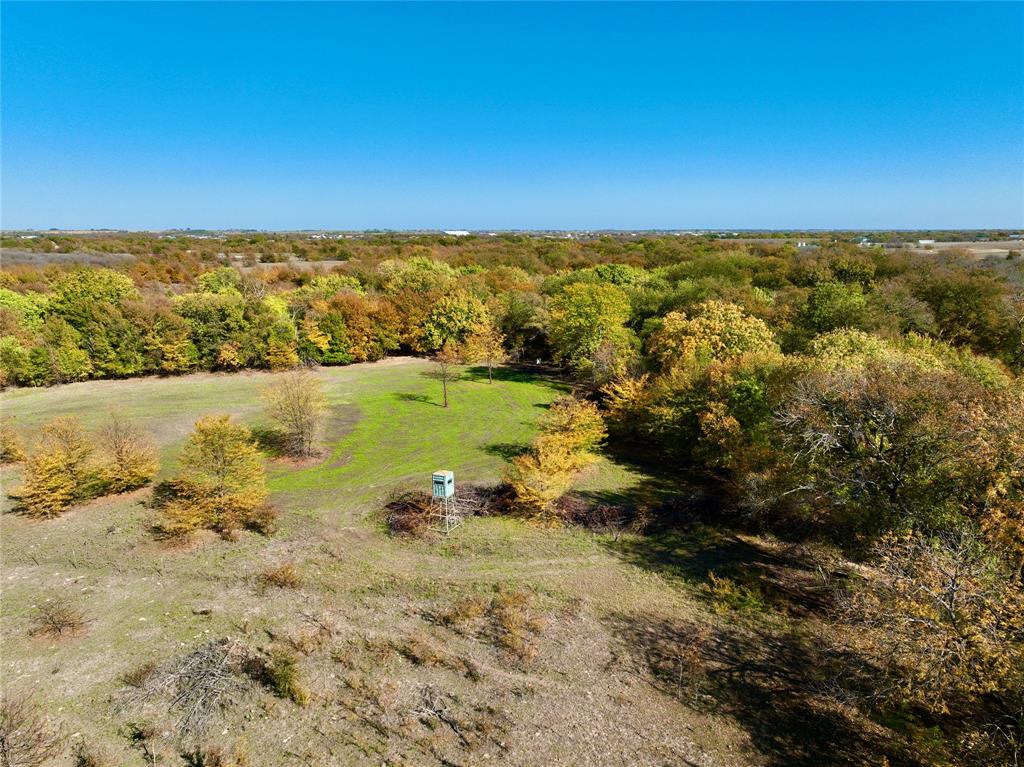 Charles Frazier Surv Abs 294 - Farm