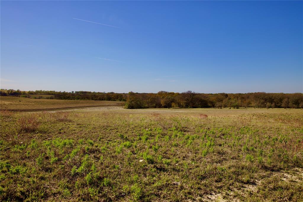 Charles Frazier Surv Abs 294 - Farm