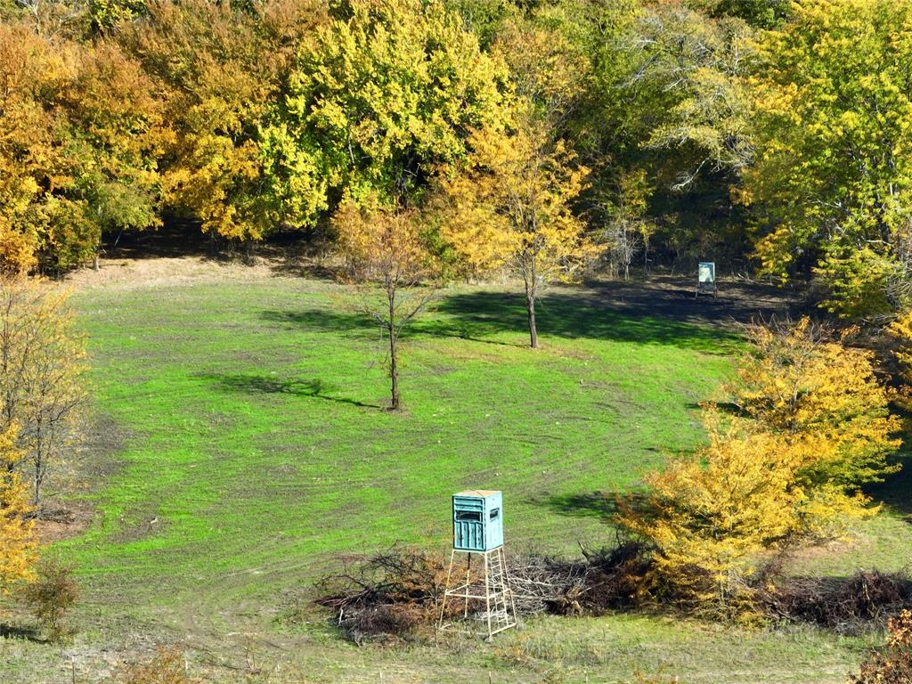 Charles Frazier Surv Abs 294 - Farm