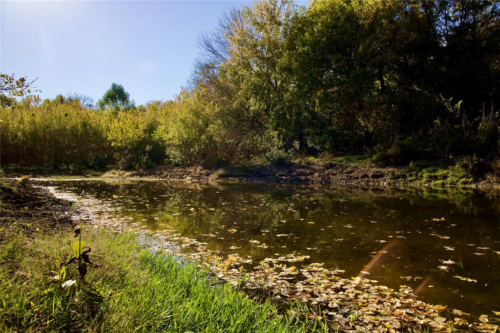 Charles Frazier Surv Abs 294 - Farm