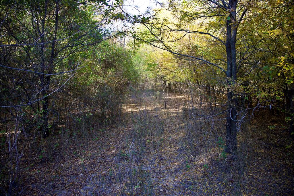 Charles Frazier Surv Abs 294 - Farm