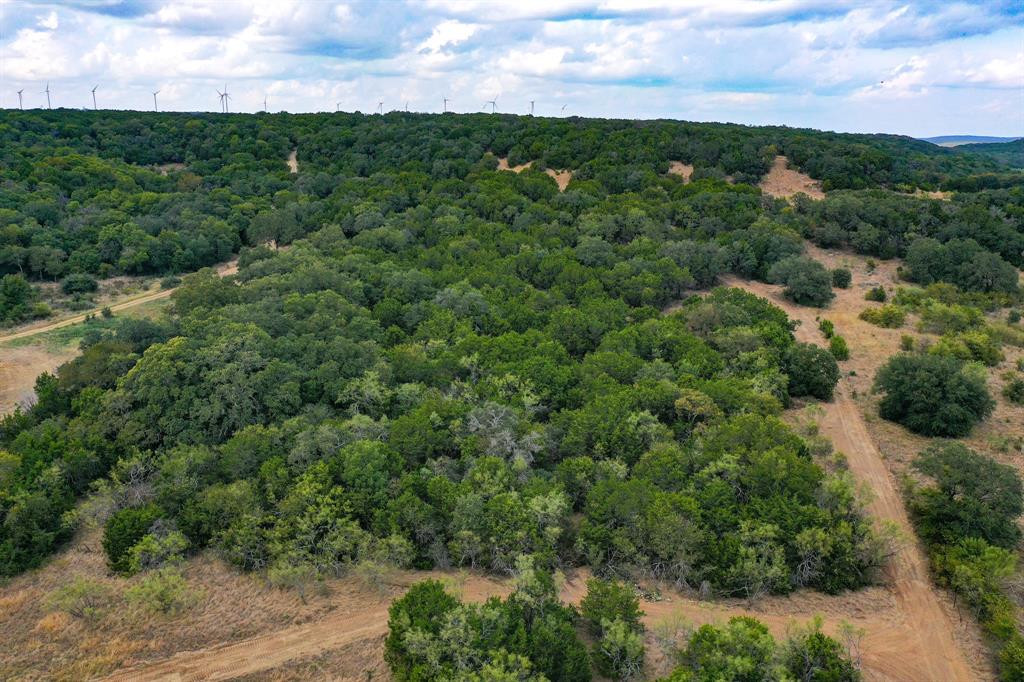 79 Acres Halsell Ranch Road