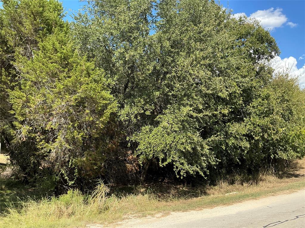 White Bluff #24 - Land