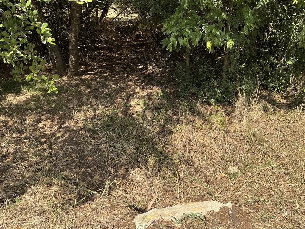 White Bluff #24 - Land