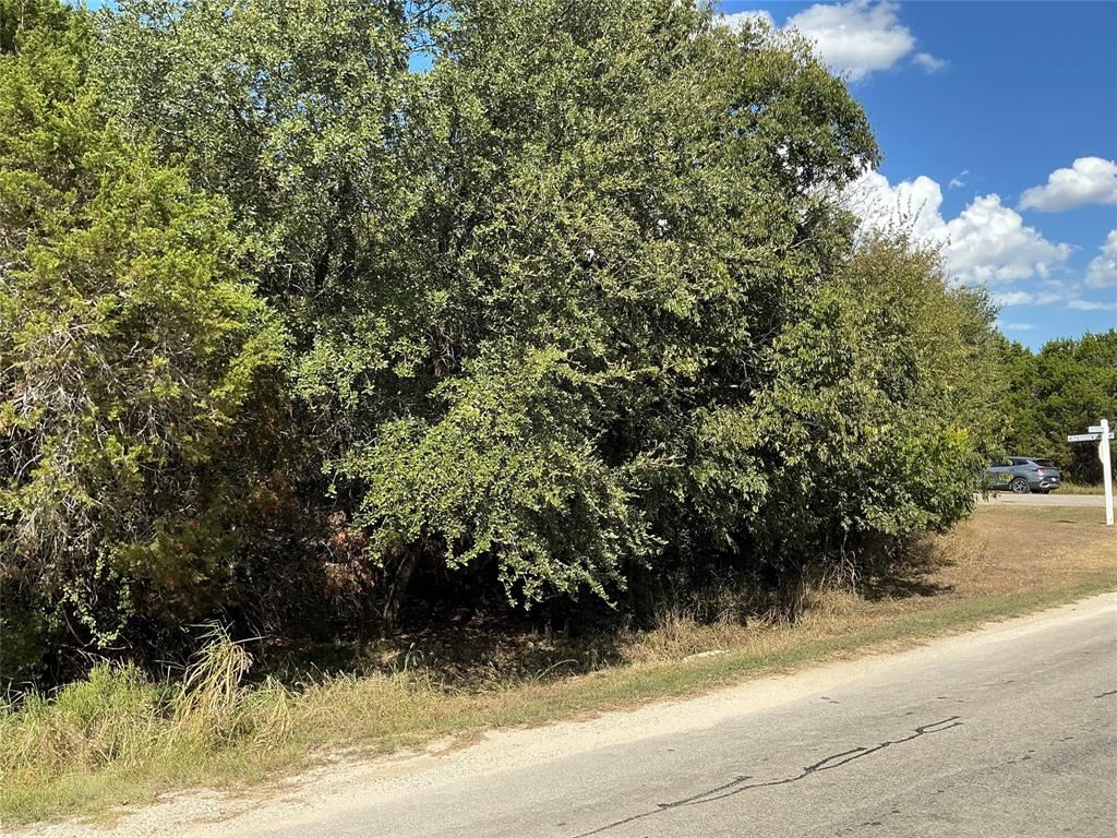 White Bluff #24 - Land