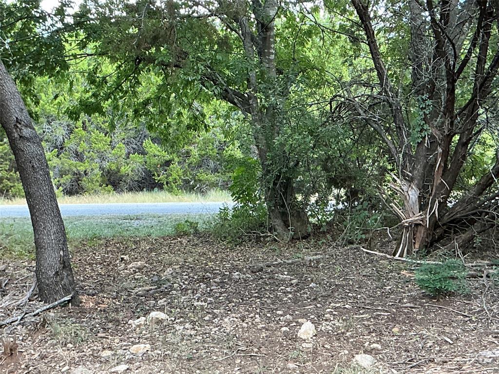 White Bluff #24 - Land