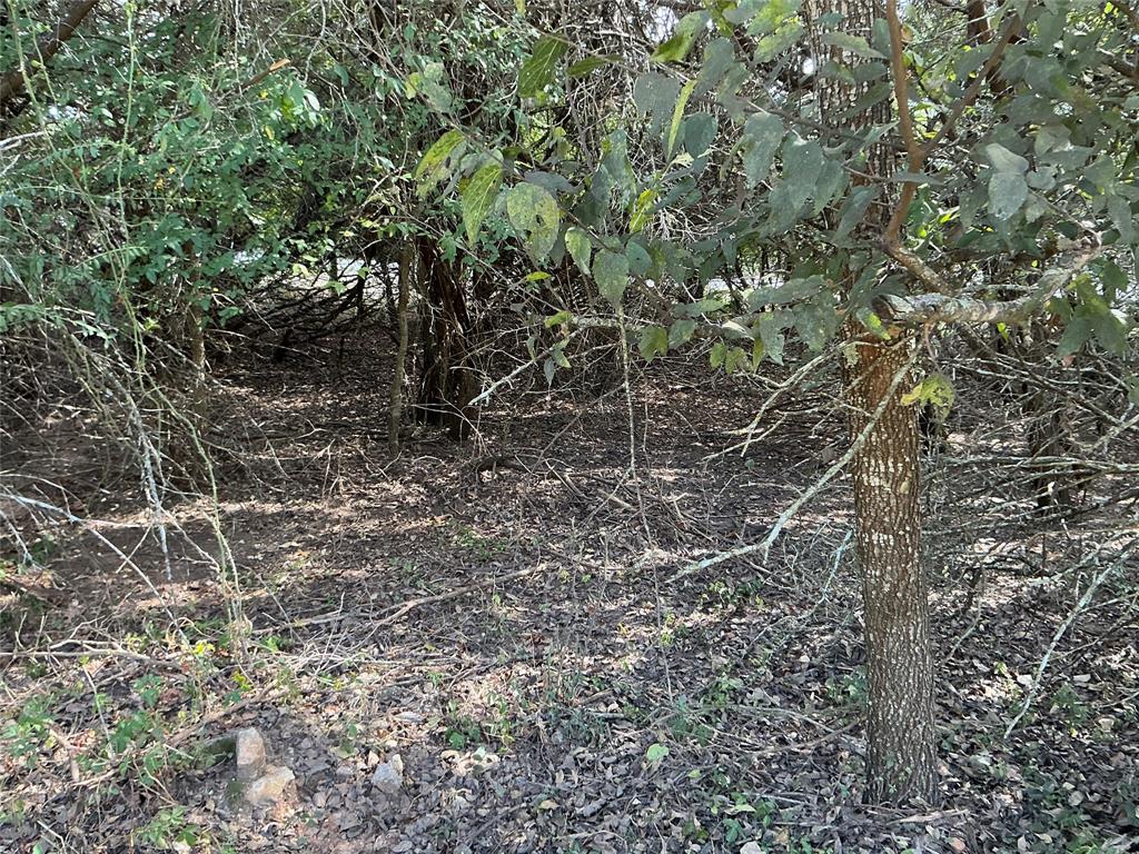 White Bluff #24 - Land