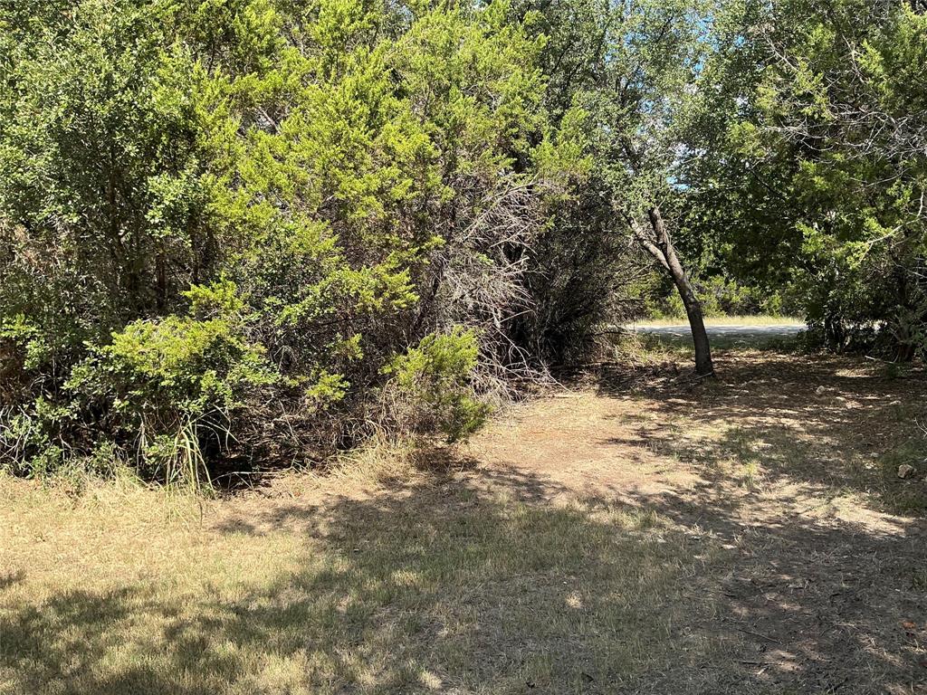 White Bluff #24 - Land