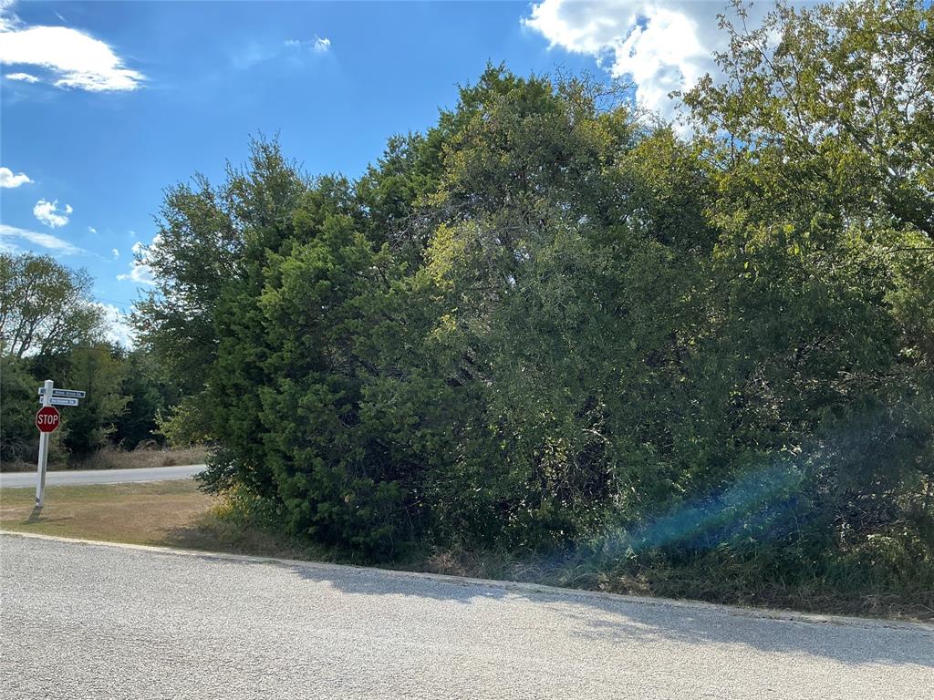 White Bluff #24 - Land