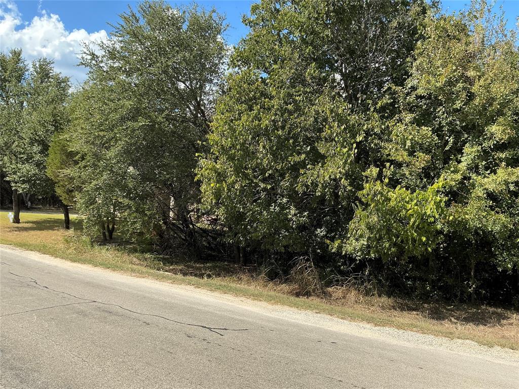 White Bluff #24 - Land