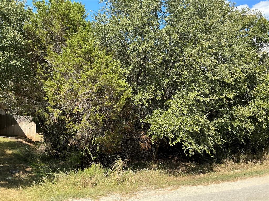 White Bluff #24 - Land