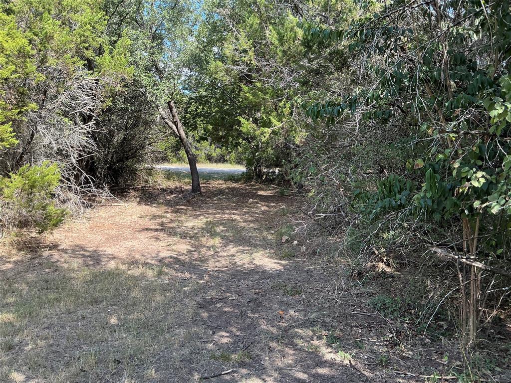 White Bluff #24 - Land