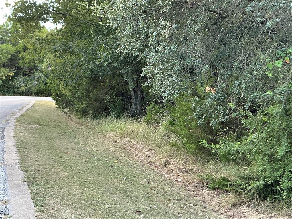 White Bluff #24 - Land