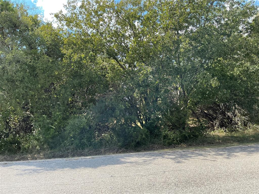 White Bluff #24 - Land