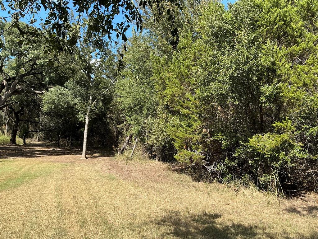 White Bluff #24 - Land