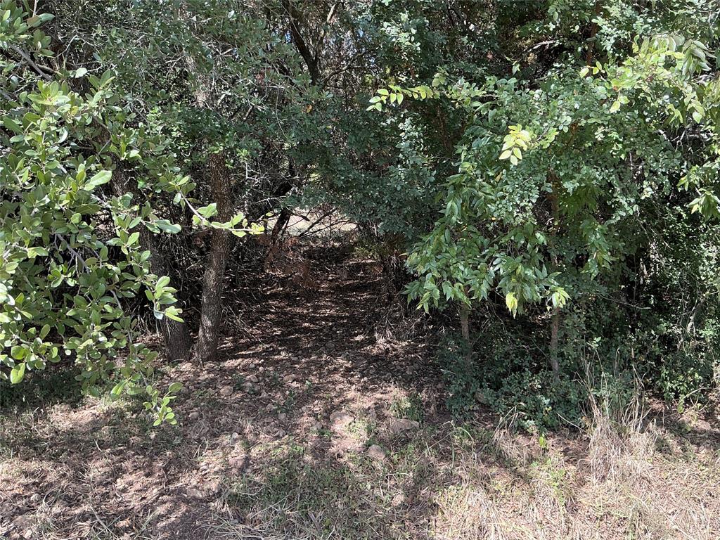 White Bluff #24 - Land