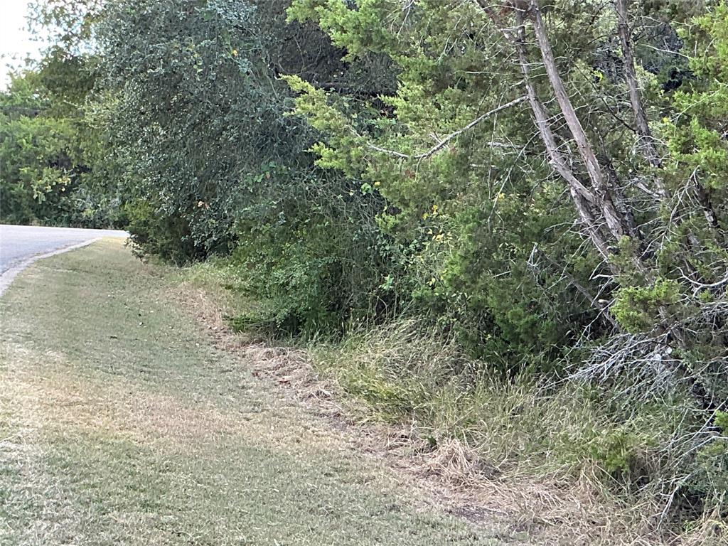 White Bluff #24 - Land