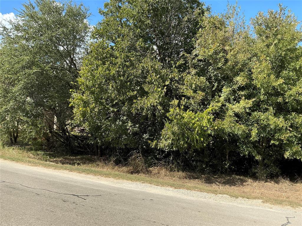 White Bluff #24 - Land