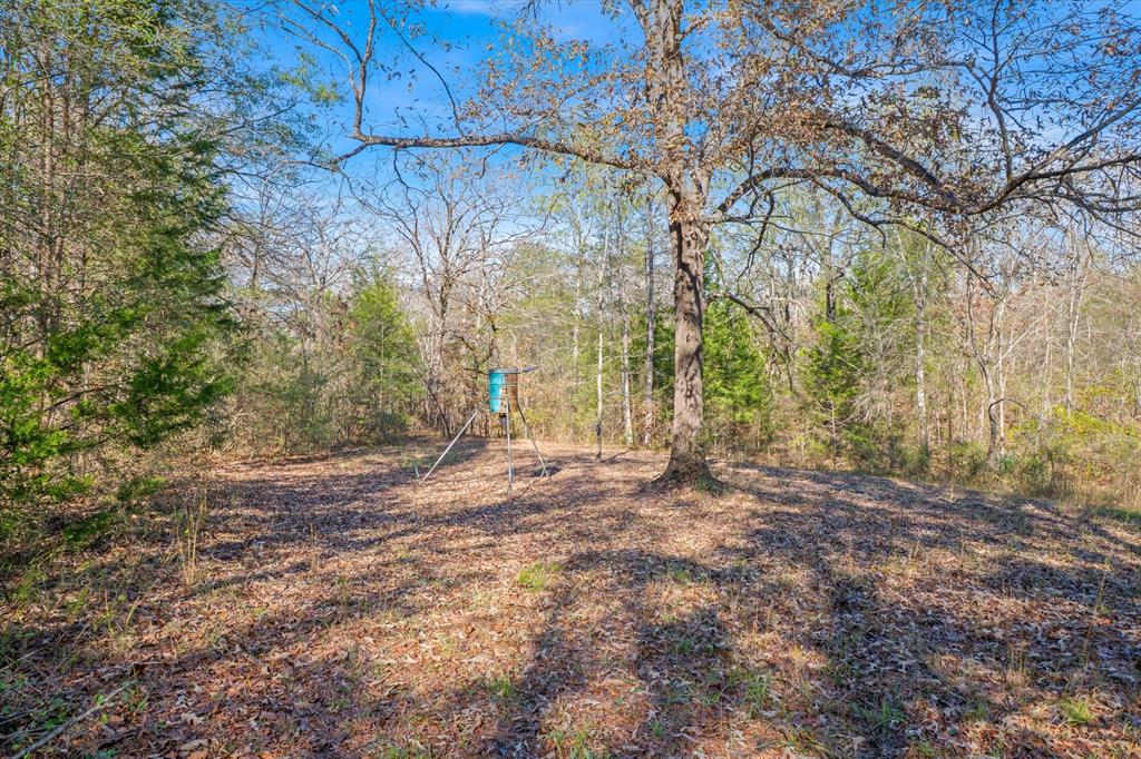 Ybarbo - Residential