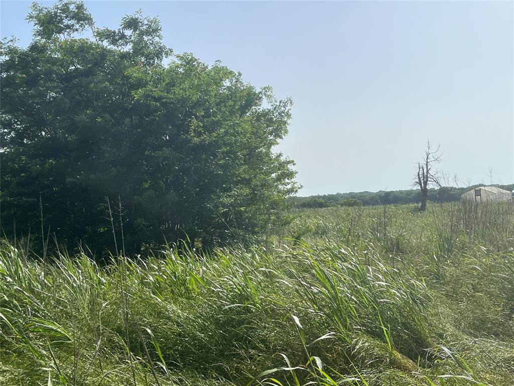 Harrison and Lyday - Land