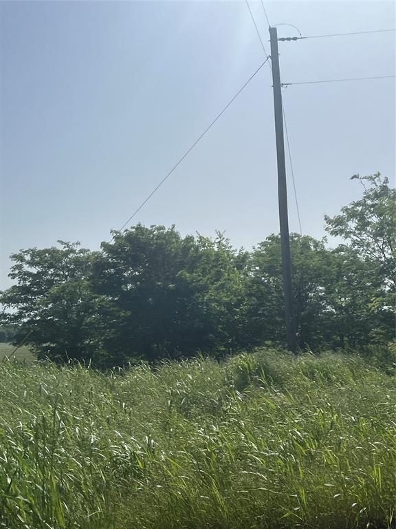 Harrison and Lyday - Land