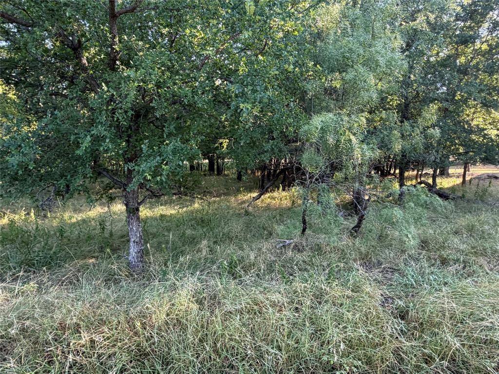 Lot 591 Cypress Drive